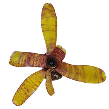 Load image into Gallery viewer, La Neoregelia Popoki è un vero classico. Bellissime macchie e motivi rosso vivo appaiono sulle foglie gialle vivide. Per risultati ottimali, questa bromelia dovrebbe essere sempre posizionata sotto le nostre luci a LED Skylight. Ci vuole tempo perché si formino le propaggini alla base di questa bromelia.