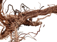 Carica l'immagine nel visualizzatore di Gallery, <ul> <li>Legno naturale specificatamente selezionato per ricreare biotopi “Wild” o acquari naturali con tecniche di “Aquascaping”</li> <li>Ideale per l’uso in acquari, paludari, acqua terrari e terrari</li> <li>Prodotto naturale – ogni pezzo è unico e può differire dagli altri per peso, forma, colore e dimensione</li> </ul>