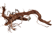 Carica l'immagine nel visualizzatore di Gallery, <ul> <li>Legno naturale specificatamente selezionato per ricreare biotopi “Wild” o acquari naturali con tecniche di “Aquascaping”</li> <li>Ideale per l’uso in acquari, paludari, acqua terrari e terrari</li> <li>Prodotto naturale – ogni pezzo è unico e può differire dagli altri per peso, forma, colore e dimensione</li> </ul>