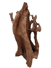 Carica l'immagine nel visualizzatore di Gallery, <ul> <li>Legno naturale specificatamente selezionato per ricreare biotopi “Wild” o acquari naturali</li> <li>Ideale per l’uso in acquari, paludari, acqua terrari e terrari</li> <li>Prodotto naturale – ogni pezzo è unico e può differire dagli altri per peso, forma, colore e dimensione</li> </ul>