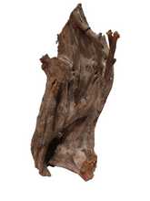 Carica l'immagine nel visualizzatore di Gallery, <ul> <li>Legno naturale specificatamente selezionato per ricreare biotopi “Wild” o acquari naturali</li> <li>Ideale per l’uso in acquari, paludari, acqua terrari e terrari</li> <li>Prodotto naturale – ogni pezzo è unico e può differire dagli altri per peso, forma, colore e dimensione</li> </ul>