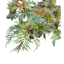 Carica l'immagine nel visualizzatore di Gallery, Begonia bipinnatifida: una bellezza tropicale per la casa
La Begonia bipinnatifida è una pianta tropicale della famiglia Begoniaceae, apprezzata per il suo fogliame ornamentale e i delicati fiori rosa o bianchi. Originaria delle foreste umide di Messico e Guatemala, prospera in ambienti caldi e ombreggiati.