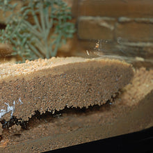 Load image into Gallery viewer, AMBIENTE NATURALE - Mescolando l’argilla in granuli Herp Pottery Lucky Reptile con sabbia o Desert bedding, aumenta la compattezza del substrato del terrario e gli animali possono scavare buche naturali in maniera sicura senza materiale sciolto.