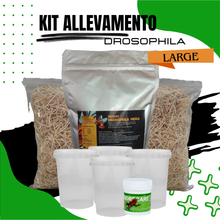 Carica l'immagine nel visualizzatore di Gallery, Scopri il nostro kit di allevamento Drosophile, perfetto per chi desidera sviluppare colonie per alimentare Dendrobates, piccoli rettili e altri animali esotici.
Il kit include tutto il necessario per avviare e mantenere una coltura di Drosophile. All'interno del kit troverai bicchieri rigidi con tappo ventilato riutilizzabili, pappone nutritivo di alta qualità per garantire una crescita sana delle Drosophile, trucioli di paglia.