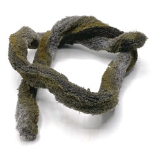 Load image into Gallery viewer, Le liane Epi-Web sono il prodotto ideale per le vostre piante da terrario e bromelie. Non solo questo prodotto ha un pH neutro, il che lo rende estremamente durevole ed ecologico, ma non contiene sostanze nutritive ed è facilmente risciacquabile. Grazie alla sua texture grossolana, ha un aspetto naturale molto simile allo xaxim.