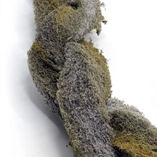 Load image into Gallery viewer, Le liane Epi-Web sono il prodotto ideale per le vostre piante da terrario e bromelie. Non solo questo prodotto ha un pH neutro, il che lo rende estremamente durevole ed ecologico, ma non contiene sostanze nutritive ed è facilmente risciacquabile. Grazie alla sua texture grossolana, ha un aspetto naturale molto simile allo xaxim.