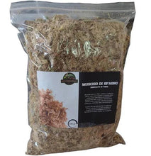 Carica l'immagine nel visualizzatore di Gallery, Muschio di sfangno secco di primissima qualità direttamente dal Cile. Utilizzato come componente per creare substrati per terrari tropicali grazie alla sua alta capacità di mantenere l'acqua al suo interno, ottimo come materiale di crescita e posizionamento per piante epifite come: orchidee, felci, bromeliacee, se mantenuto idratato e con corretta umidità può facilmente tornare vivo. Confezione da 120g.