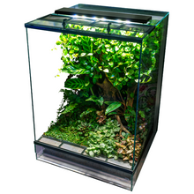 Load image into Gallery viewer, La lampada PR2.Q è il compagno ideale per terrari e paludari piantumati, progettata per affrontare qualsiasi sfida. Con il suo design robusto e resistente agli schizzi, e un’efficienza straordinaria di circa 100 lm/W, garantisce una luminosità potente e naturale per illuminare al meglio ogni tipo di paludario o vivario con piante vive.