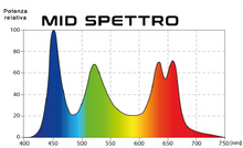 Load image into Gallery viewer, Le lampade SKYLIGHT MID 2H e SKYLIGHT MID 2V sono progettate per vivari e terrari contenenti piante vive.
Offrono uno spettro luminoso ottimizzato non solo per favorire la fotosintesi e la crescita sana delle piante, ma anche per assicurare una resa cromatica intensa e naturale degli abitanti del terrario.
Grazie al design studiato, l’abbagliamento laterale è stato ridotto al minimo, rendendo l’osservazione del vivarium un’esperienza ancora più piacevole e realistica.