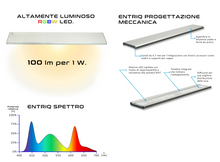 Carica l'immagine nel visualizzatore di Gallery, Skylight ENTRIQ