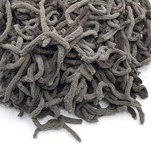 Load image into Gallery viewer, Synthic - sfagno sintetico 6LT - NG Terrariums