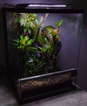 Load image into Gallery viewer, Terrario completo naturalistico allestito, comprensivo di illuminazione standard led 6500k. Bioattivo e piantumato, realizzato per Dendrobates o piccoli gechi tropicali.