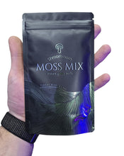 Load image into Gallery viewer, MossMix è una miscela secca di muschi asiatici selezionati e spore di felce, pensata per l’uso decorativo in terrari, paludari e foreste in barattolo. A differenza della maggior parte dei moss mix secchi presenti sul mercato, questo prodotto contiene muschi parzialmente vivi, caratteristica che garantisce una maggiore facilità di attecchimento e sviluppo in condizioni idonee.