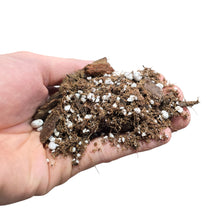 Carica l'immagine nel visualizzatore di Gallery, Substrato specifico per Alocasie, studiato per garantire il perfetto equilibrio tra aerazione, drenaggio e nutrimento, ideale per la coltivazione in vaso. La miscela di fibra di cocco, bark, perlite, humus di lombrico e una piccola parte di torba assicura un ambiente radicale stabile e ben ossigenato. La torba, presente in minima quantità, contribuisce all'apporto di nutrienti e al mantenimento dell'umidità, senza compromettere la struttura arieggiata del composto. Realizzato con materiali naturali e mixato