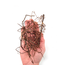 Load image into Gallery viewer, Aggiungi bellezza naturale e dettagli intricati al tuo acquario, paludario o terrario con Mini Roots! Le nostre radici sono disponibili in una gamma di dimensioni da sottili a molto sottili, consentendo dettagli estremamente elevati nelle tue creazioni ispirate alla natura.