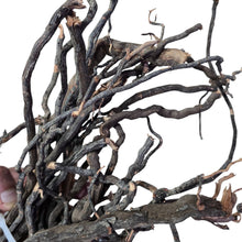Load image into Gallery viewer, Aggiungi bellezza naturale e dettagli intricati al tuo acquario, paludario o terrario con Elder Roots! Le nostre radici sono disponibili in una gamma di dimensioni da sottili a molto sottili, consentendo dettagli estremamente elevati nelle tue creazioni ispirate alla natura. Realizzate con vere radici di alberi che sono state trattate termicamente e disidratate, queste radici sono resistenti e di lunga durata. Per ripristinare la loro flessibilità, è sufficiente immergerli in acqua per 24 ore prima dell'uso