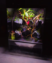 Carica l'immagine nel visualizzatore di Gallery, La radice Red Wood è un legno decorativo naturale dai rami attorcigliati e brunastri. Ideale per terrascaping/aquascaping, non tinge l'acqua ne varia i valori, resistente all'umidità e al tempo.