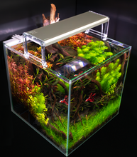 Carica l&#39;immagine nel visualizzatore di Gallery, Skylight ENTRIQ
