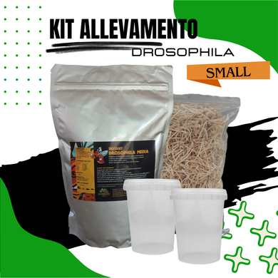 Scopri il nostro kit di allevamento Drosophile, perfetto per chi desidera sviluppare colonie per alimentare Dendrobates, piccoli rettili e altri animali esotici.

Il kit include tutto il necessario per avviare e mantenere una coltura di Drosophile. All'interno del kit troverai bicchieri rigidi con tappo ventilato riutilizzabili, pappone nutritivo di alta qualità per garantire una crescita sana delle Drosophile, trucioli di paglia.