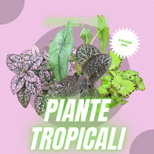 Carica l&#39;immagine nel visualizzatore di Gallery, Mystery box - piante tropicali

