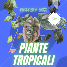 Carica l&#39;immagine nel visualizzatore di Gallery, Mystery box - piante tropicali
