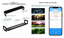 Carica l&#39;immagine nel visualizzatore di Gallery, Skylight FOQAL

