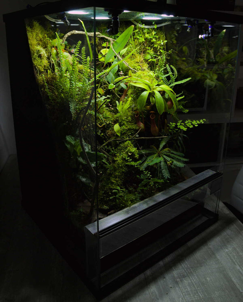 Vivario bioattivo tropicale 45x45x60 - ng terrariums