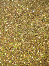 Load image into Gallery viewer, MossMix è una miscela secca di muschi asiatici selezionati e spore di felce, pensata per l’uso decorativo in terrari, paludari e foreste in barattolo. A differenza della maggior parte dei moss mix secchi presenti sul mercato, questo prodotto contiene muschi parzialmente vivi, caratteristica che garantisce una maggiore facilità di attecchimento e sviluppo in condizioni idonee.
