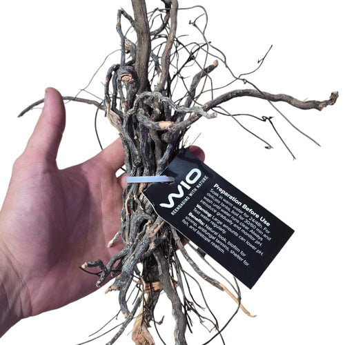 Aggiungi bellezza naturale e dettagli intricati al tuo acquario, paludario o terrario con Mini Roots! Le nostre radici sono disponibili in una gamma di dimensioni da sottili a molto sottili, consentendo dettagli estremamente elevati nelle tue creazioni ispirate alla natura. Realizzate con vere radici di alberi che sono state trattate termicamente e disidratate, queste radici sono resistenti e di lunga durata. Per ripristinare la loro flessibilità, è sufficiente immergerli in acqua per 24 ore prima dell'uso.
