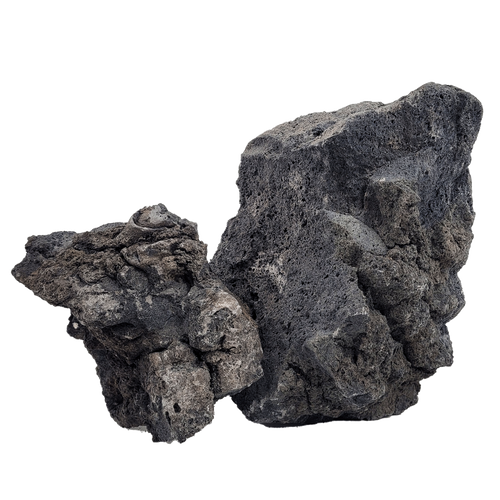 La Darwin Black Lava Stone è una pietra lavica nera corvino con elevata consistenza e porosità, perfetta per creare contrasto con il colore verde delle piante.