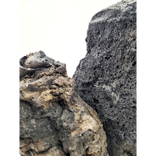 Load image into Gallery viewer, La Darwin Black Lava Stone è una pietra lavica nera corvino con elevata consistenza e porosità, perfetta per creare contrasto con il colore verde delle piante.

